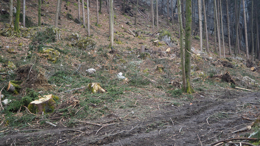 P2243336.JPG