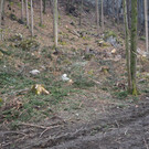 P2243336.JPG