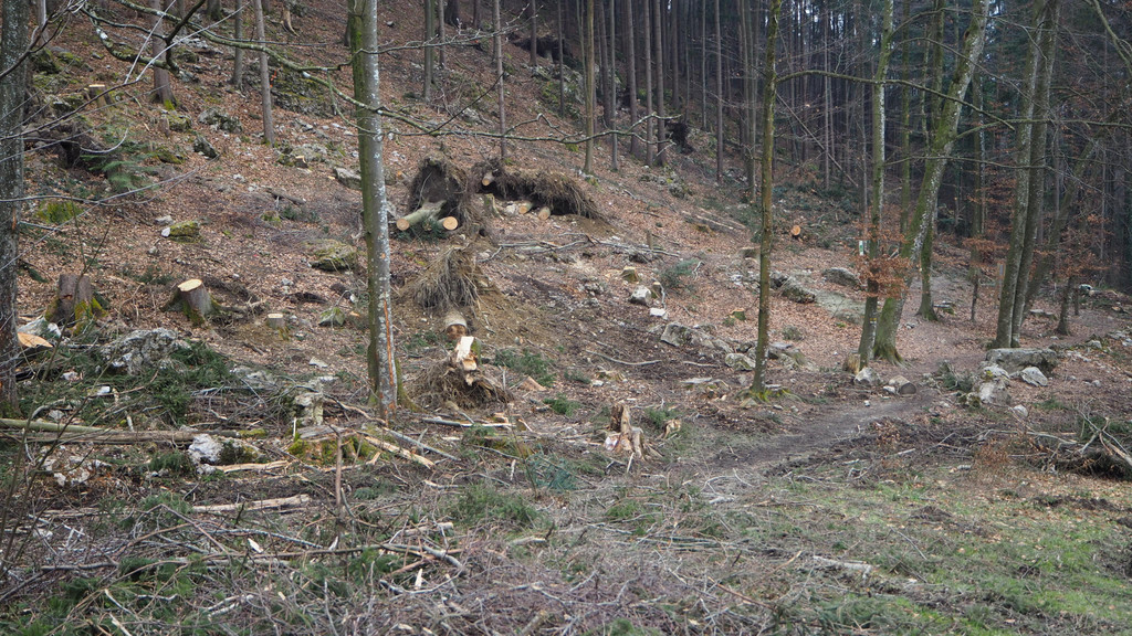 P2243337.JPG