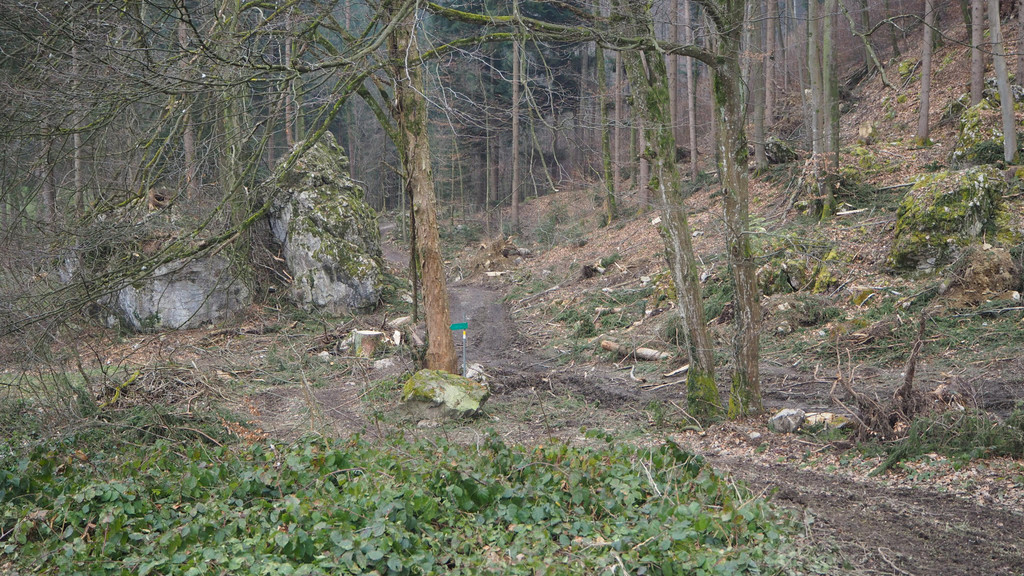 P2243339.JPG