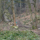 P2243339.JPG