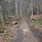 P2243304.JPG