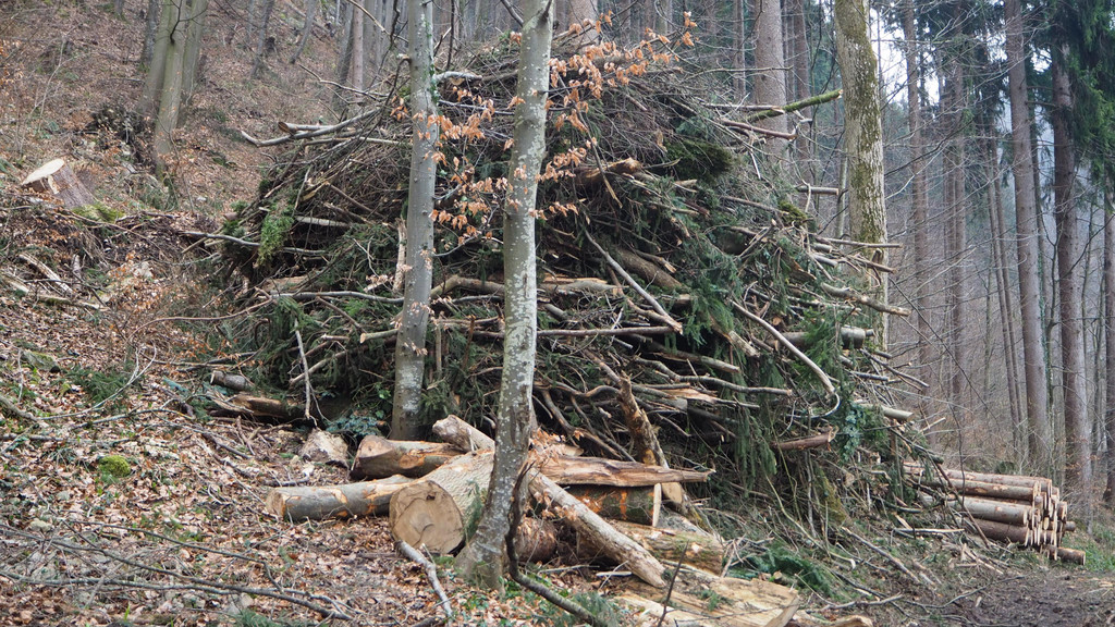 P2243316.JPG