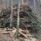 P2243316.JPG