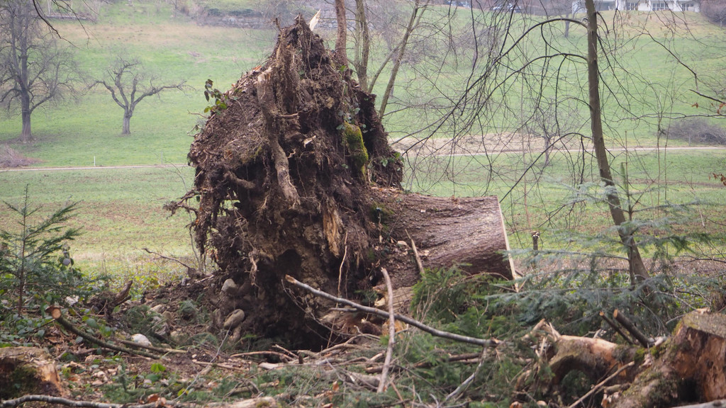 P2243330.JPG