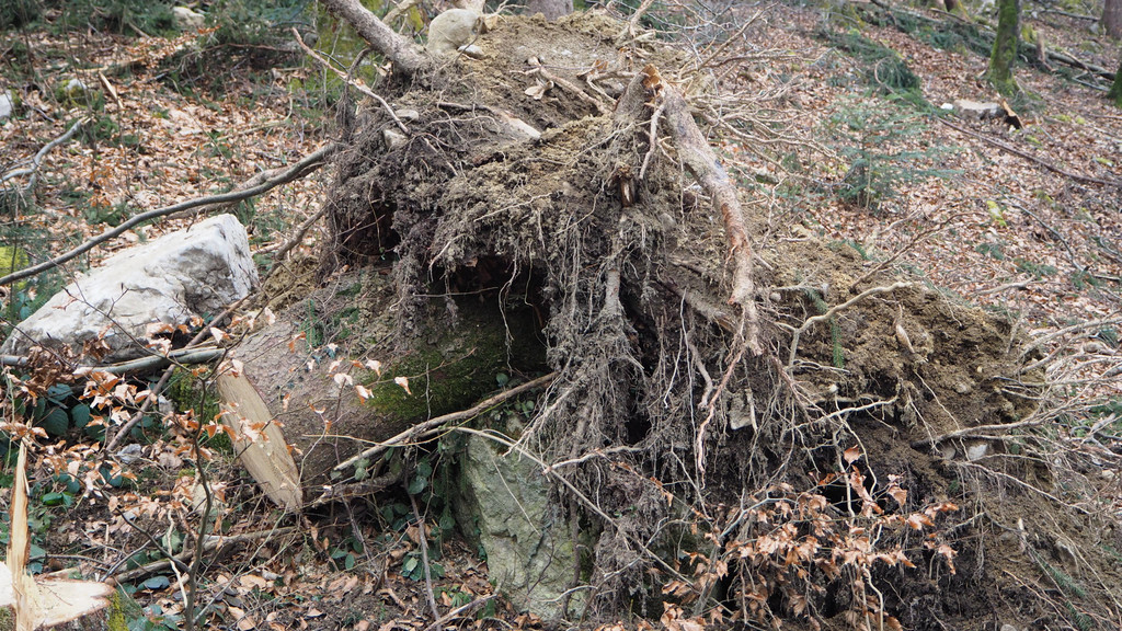 P2243333.JPG