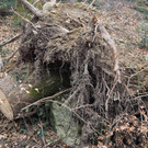 P2243333.JPG