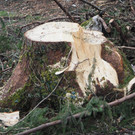 P2243335.JPG
