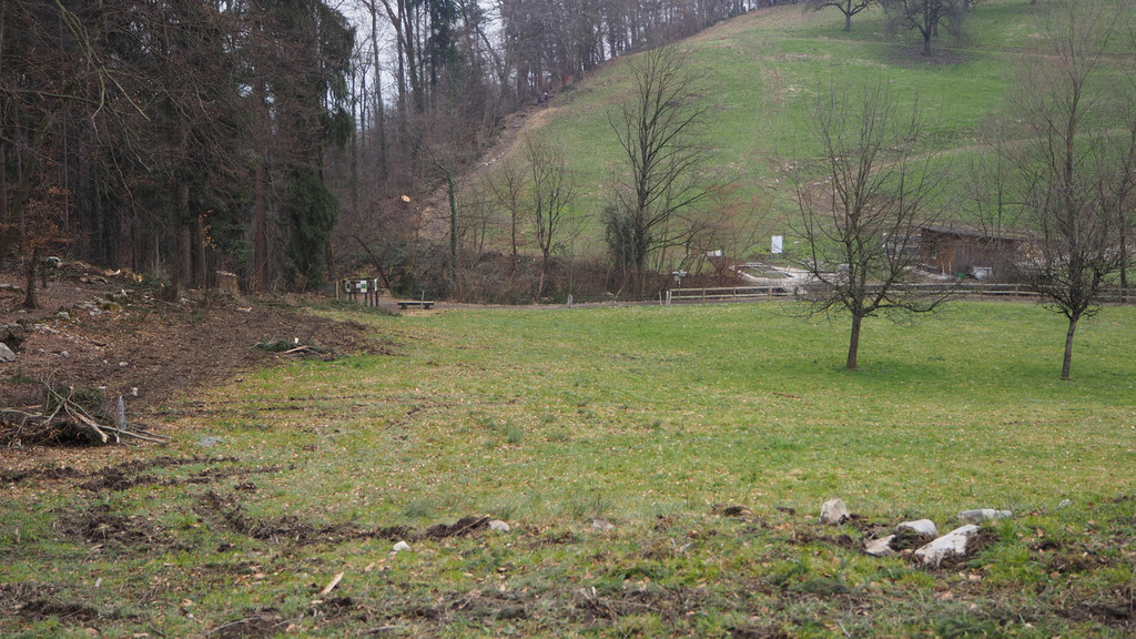 P2243338.JPG