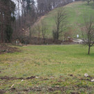 P2243338.JPG