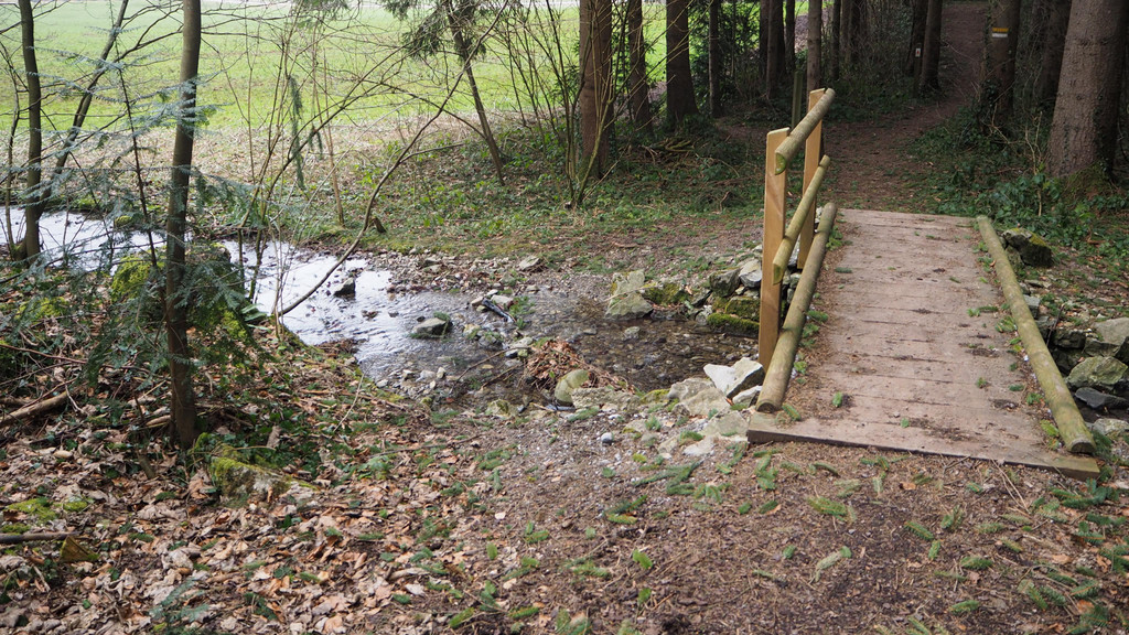 P2243340.JPG