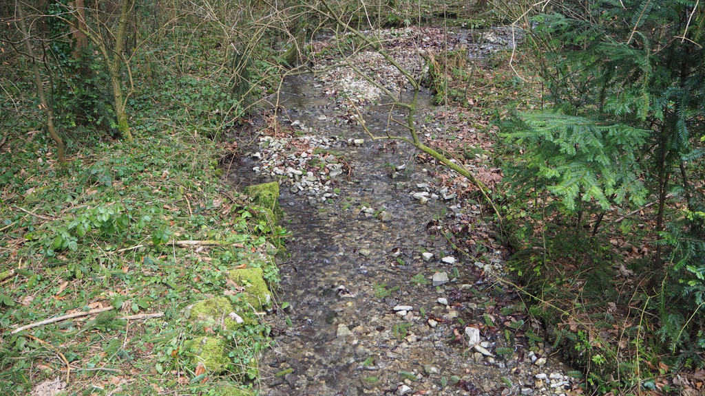 P2243341.JPG