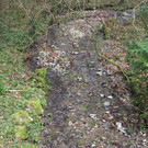 P2243341.JPG