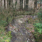 P2243342.JPG