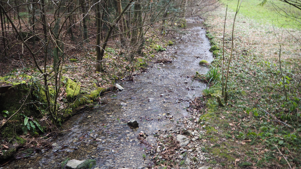 P2243343.JPG