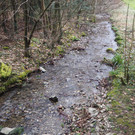 P2243343.JPG