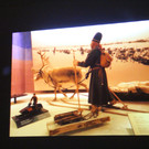 IMG_1157.JPG