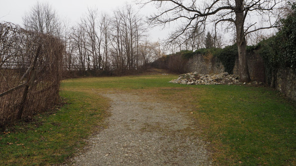 P2243221.JPG