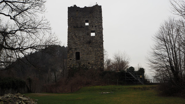 P2243240.JPG