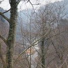 P2243252.JPG