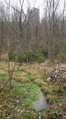 P2243299.JPG