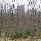 P2243299.JPG