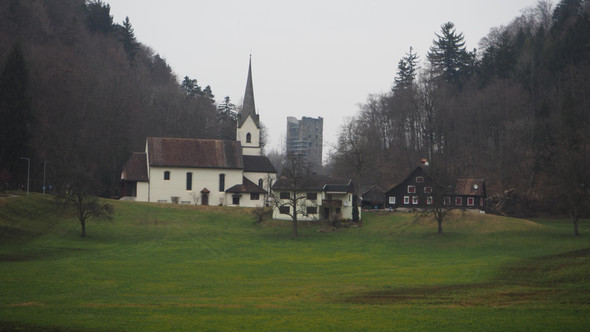 P2243346.JPG