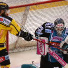 EXPA-THA-180225-0497.jpg