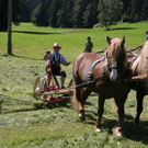 Rösslerfest Möggers 2009