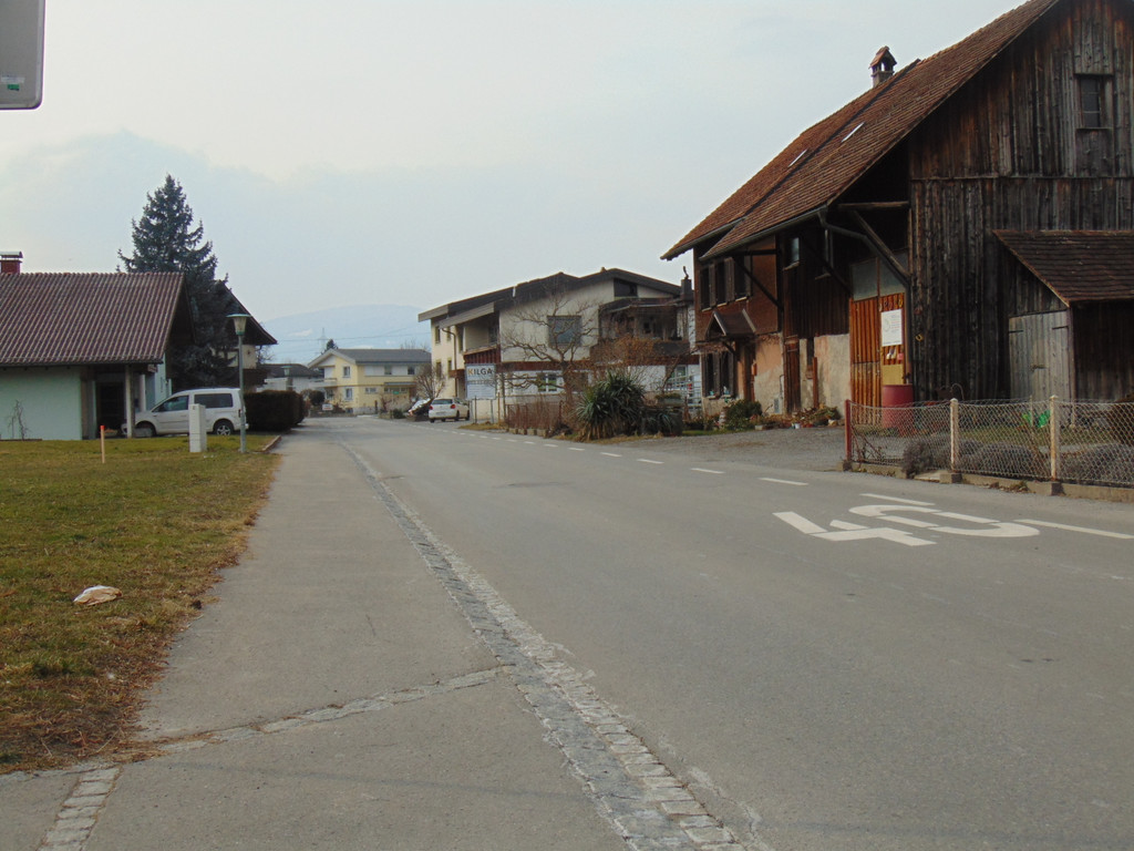 DSC05865.JPG