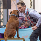 Haustiermesse Wien 2018 - Marx Halle Wien - 25_02_2018 _33 von 124_.JPG