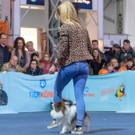 Haustiermesse Wien 2018 - Marx Halle Wien - 25_02_2018 _50 von 124_.JPG