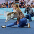 Haustiermesse Wien 2018 - Marx Halle Wien - 25_02_2018 _51 von 124_.JPG