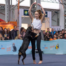 Haustiermesse Wien 2018 - Marx Halle Wien - 25_02_2018 _53 von 124_.JPG