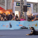 Haustiermesse Wien 2018 - Marx Halle Wien - 25_02_2018 _55 von 124_.JPG