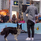 Haustiermesse Wien 2018 - Marx Halle Wien - 25_02_2018 _60 von 124_.JPG