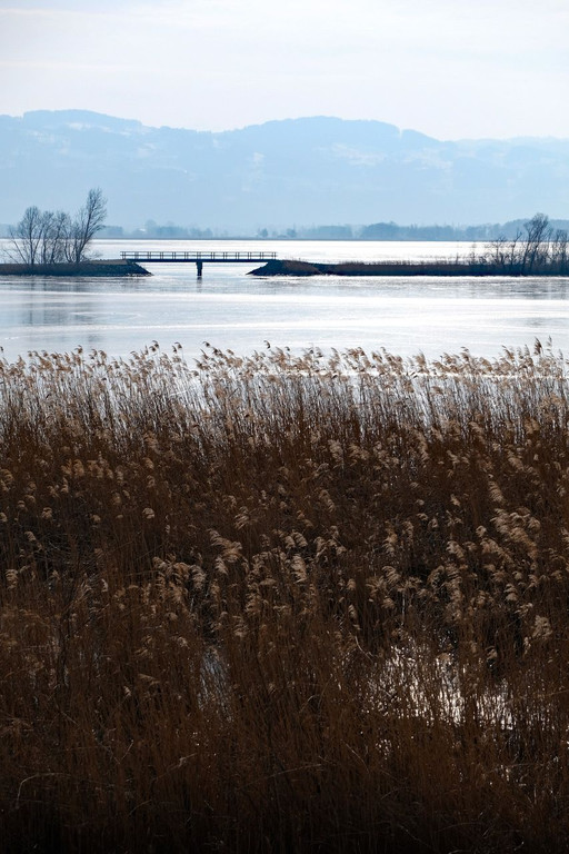 DSCF0142.jpg