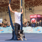 Haustiermesse Wien 2018 - Marx Halle Wien - 25_02_2018 _70 von 124_.JPG