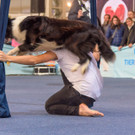 Haustiermesse Wien 2018 - Marx Halle Wien - 25_02_2018 _73 von 124_.JPG