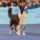 Haustiermesse Wien 2018 - Marx Halle Wien - 25_02_2018 _75 von 124_.JPG