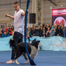 Haustiermesse Wien 2018 - Marx Halle Wien - 25_02_2018 _82 von 124_.JPG