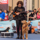 Haustiermesse Wien 2018 - Marx Halle Wien - 25_02_2018 _90 von 124_.JPG