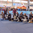 Haustiermesse Wien 2018 - Marx Halle Wien - 25_02_2018 _97 von 124_.JPG