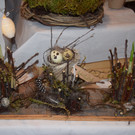 DSC_0034 - Kopie.JPG