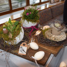 DSC_0035 - Kopie.JPG