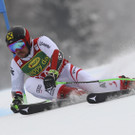 Slovenia_Alpine_Skiing_World_Cup_61406.jpg