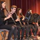 Musikschule Walgau