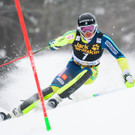 Slalom in Krnjska Gora