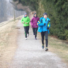 VLV-Cross Meisterschaft