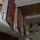 IMG_8002.JPG